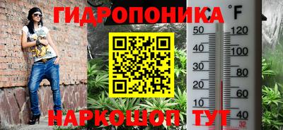 твердый Боровичи