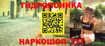 тгк Брянск