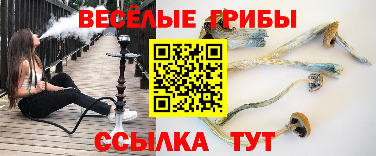 Псилоцибиновые грибы MAGIC MUSHROOMS  Вход с VPN  Галлюциногенные грибы мицелий  Полевской 